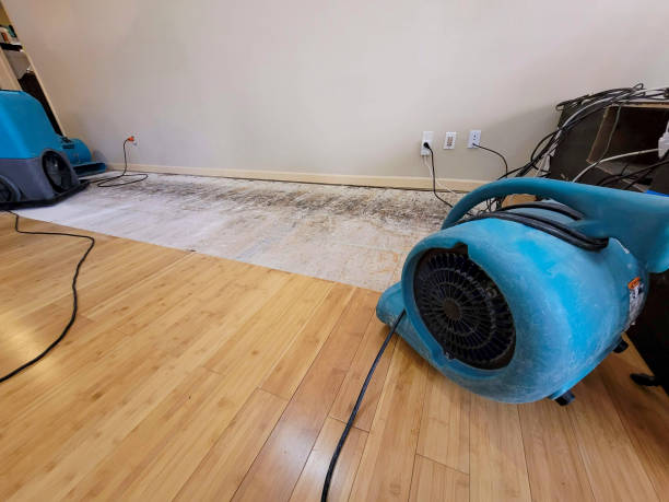 Professional Basement Flood Cleanup technician working in Como, MS