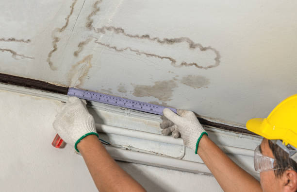 Affordable Basement Flood Cleanup solutions in Como, MS